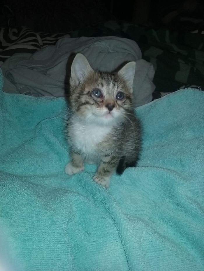 Rescued My Prince ❤