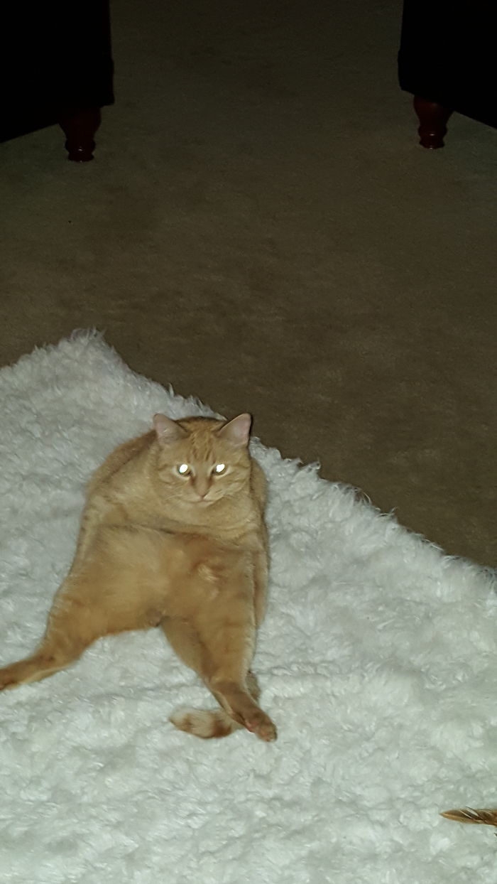 The Red Devil She Turned Out To Be 😍