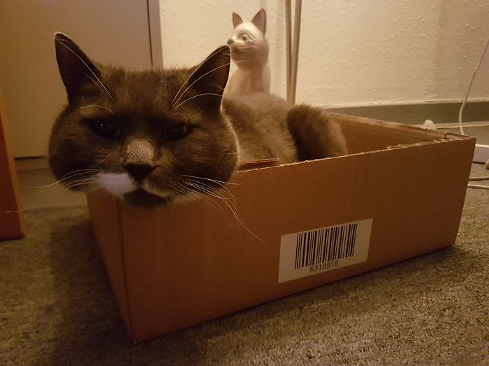 Got A Problem, Human??