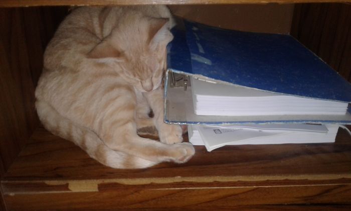 I Fits..