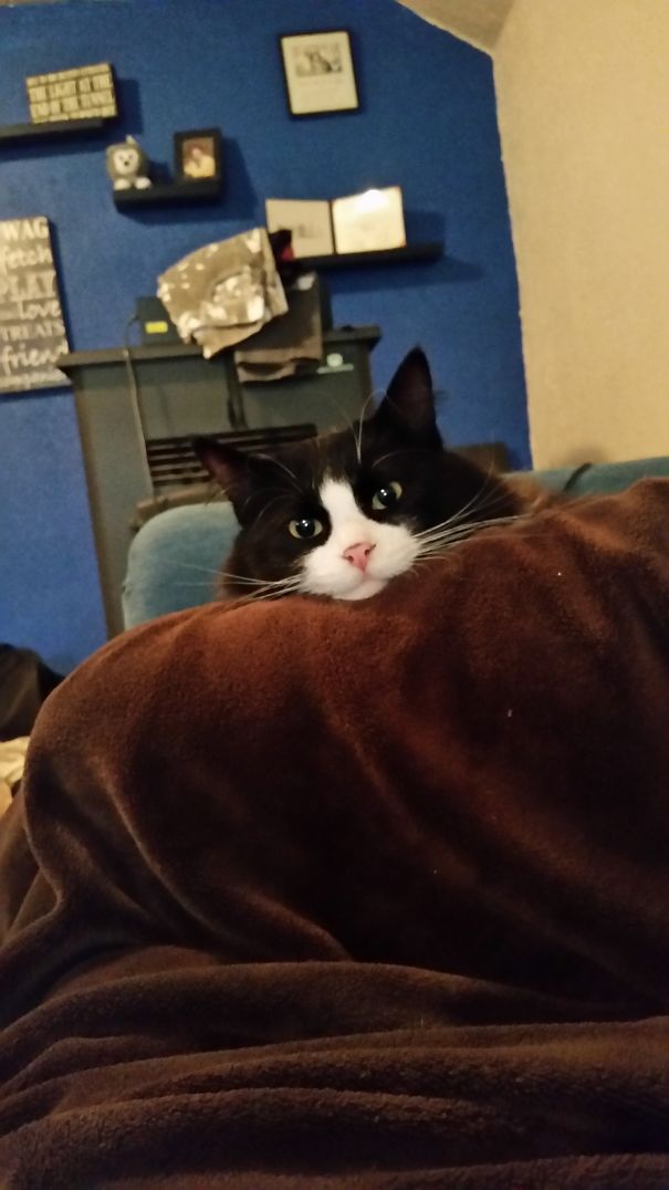 I Took A Nap And Woke Up To Him. ..