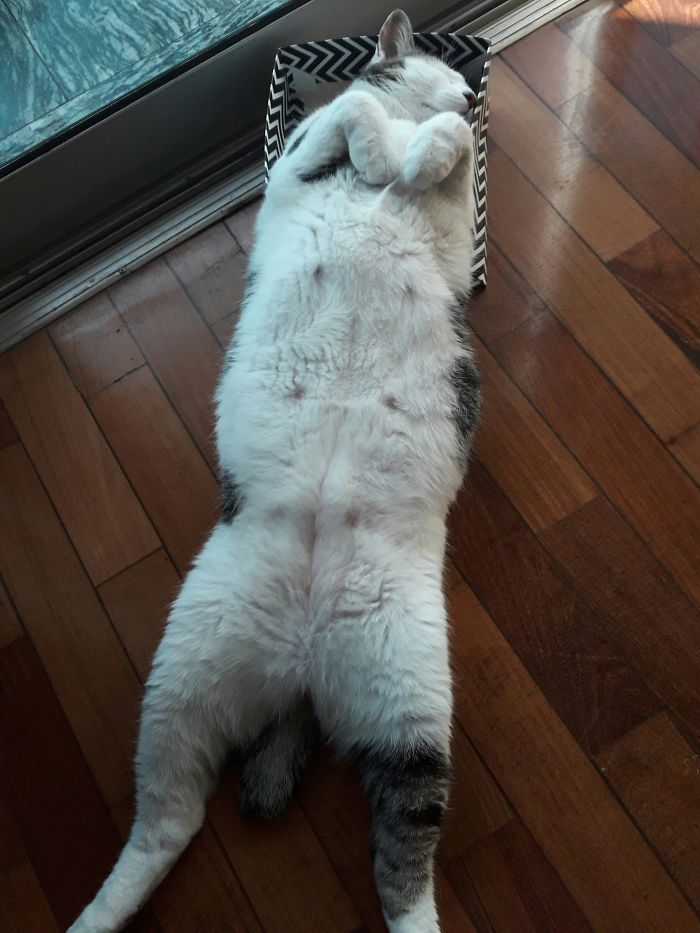 Yeah... I Fit Perfectly Here...