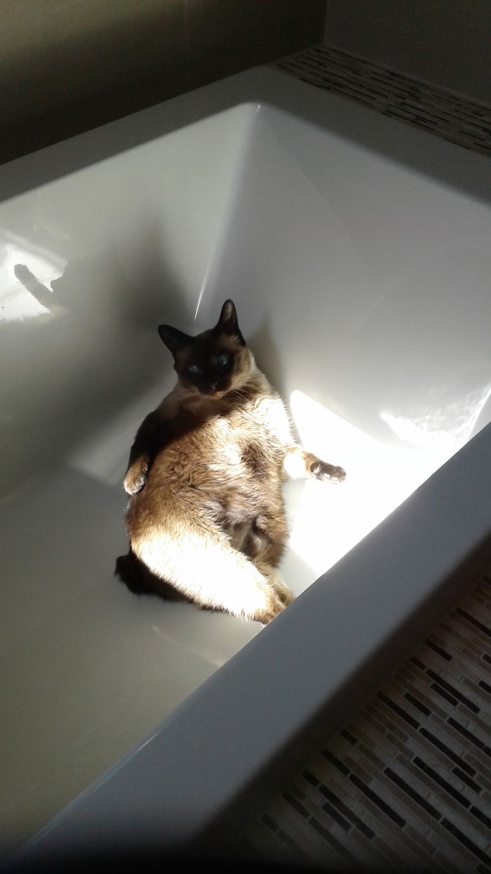 I Fits And Sun Bathe At The Same Time!