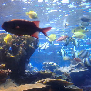 cheryl_birkhimer avatar