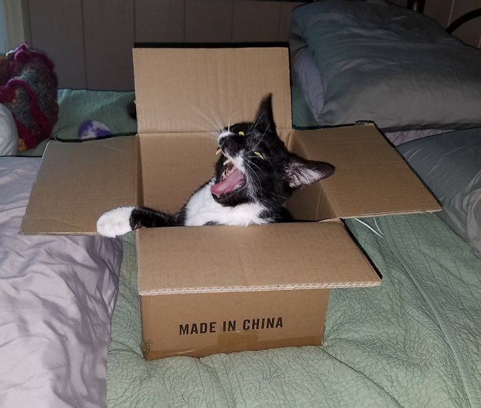 I Love My Box!!