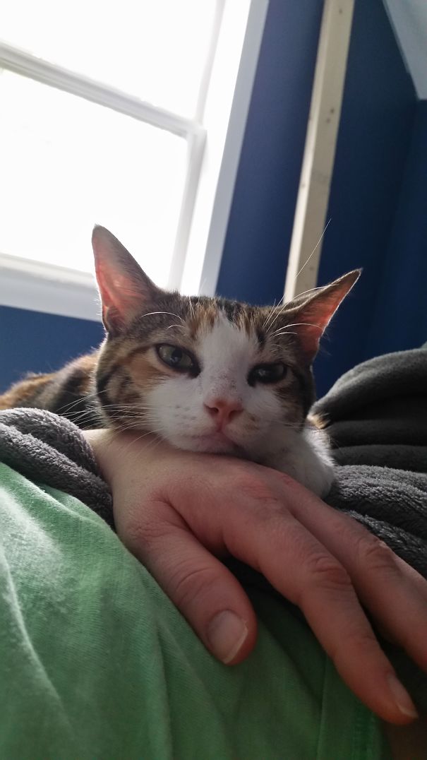 Woke Up To This Girl This Morning!