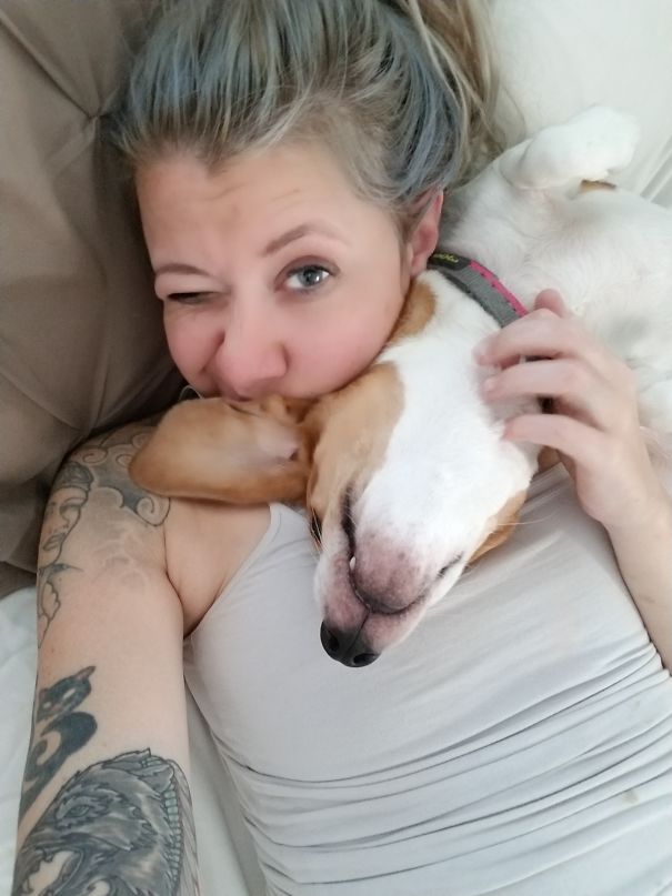 This Is How My Beagle Daisy Wakes Me