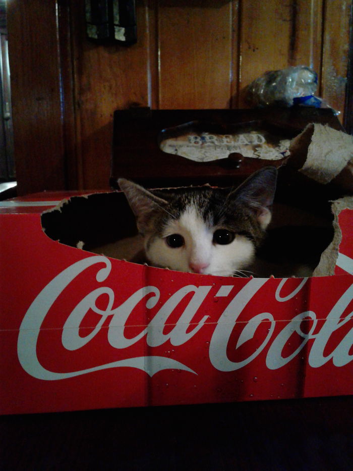 Any Place He Can Hide!