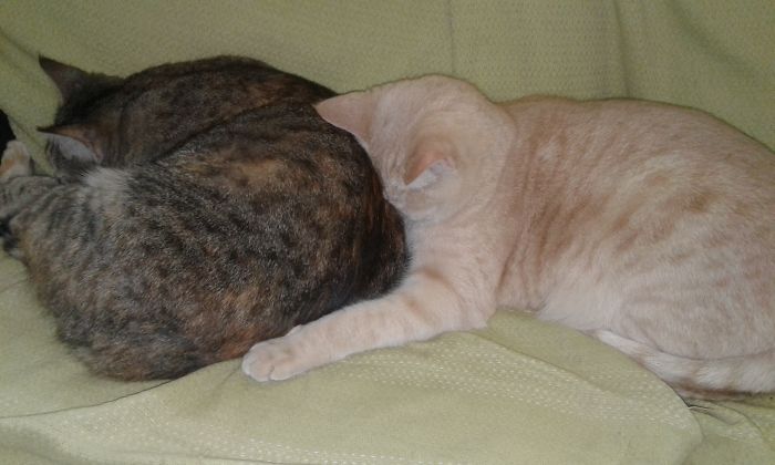 Don't Care If You Were Here First. I Fits In Front Of You, So I Sits.