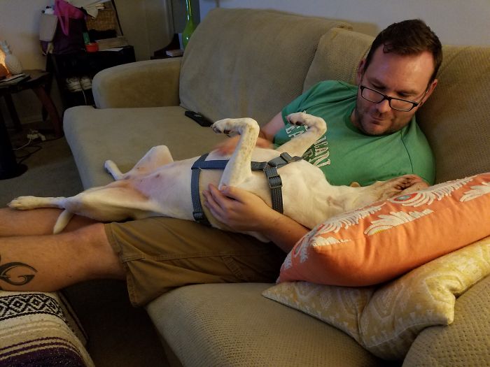 Chloe Is *supposedly* 8 Years Old. We Adopted Her 2 Months Ago, And She Is Positive That She Is Everyone's "baby".