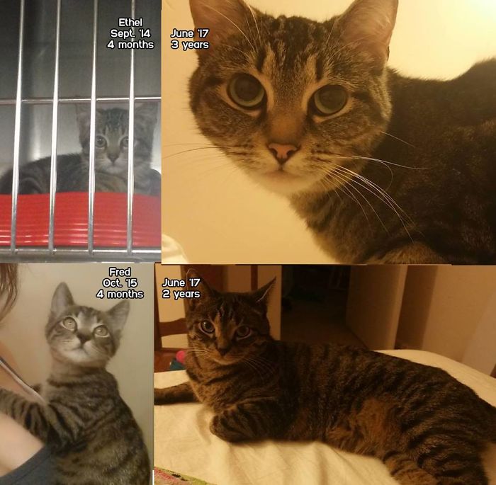 First Day And Birthdays