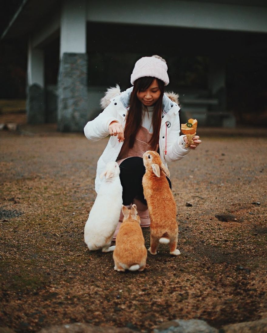 Okunoshima, Rabbit Island In Japan