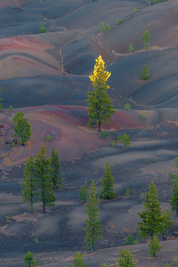 Lassen Volcanic National Park