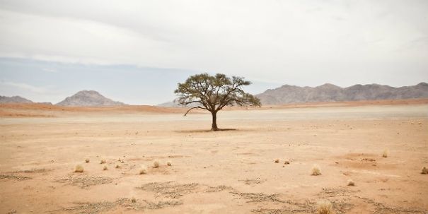 Com'on Rain! I Want Some Friends