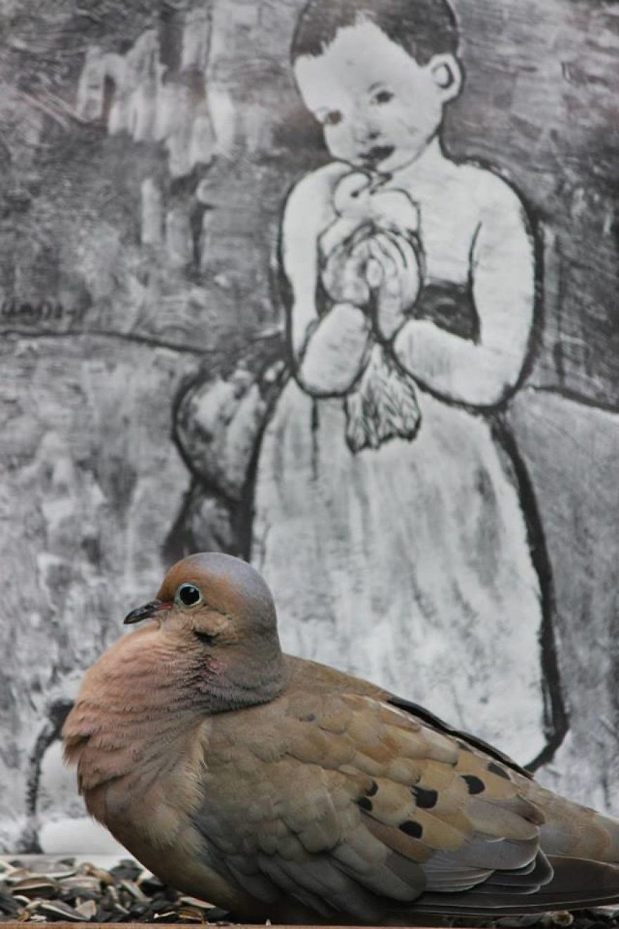 Artist Changes The Backdrop Of Her Birdhouse To Transform The Narrative Of How We View Art. Artist Changes The Backdrop Of Her Birdhouse To Transform The Narrative Of How We View Art.