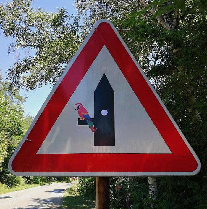 A Parrot Proudly Striking A Pose In Front Of His New Home