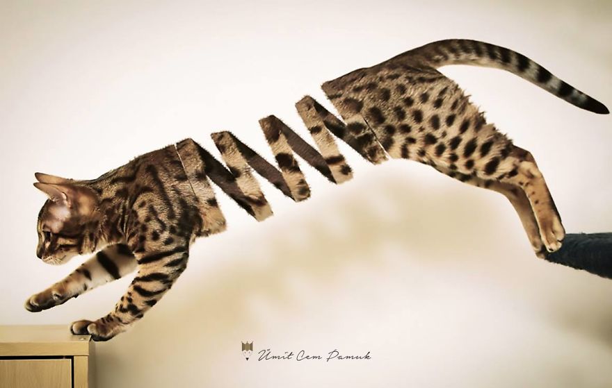 15 Photo Manipulations By Umit Cem Pamuk