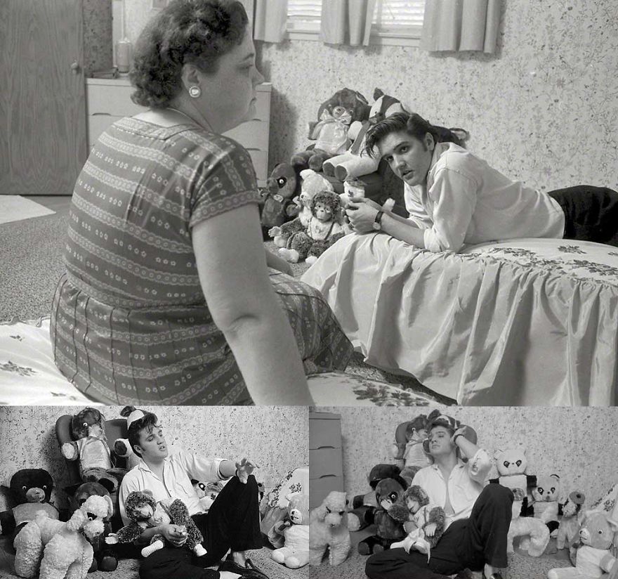 Elvis Presley And The Animals. A Very Sweet Tribute To The 40 Years Of His Death. Elvis Presley And The Animals. A Very Sweet Tribute To The 40 Years Of His Death.