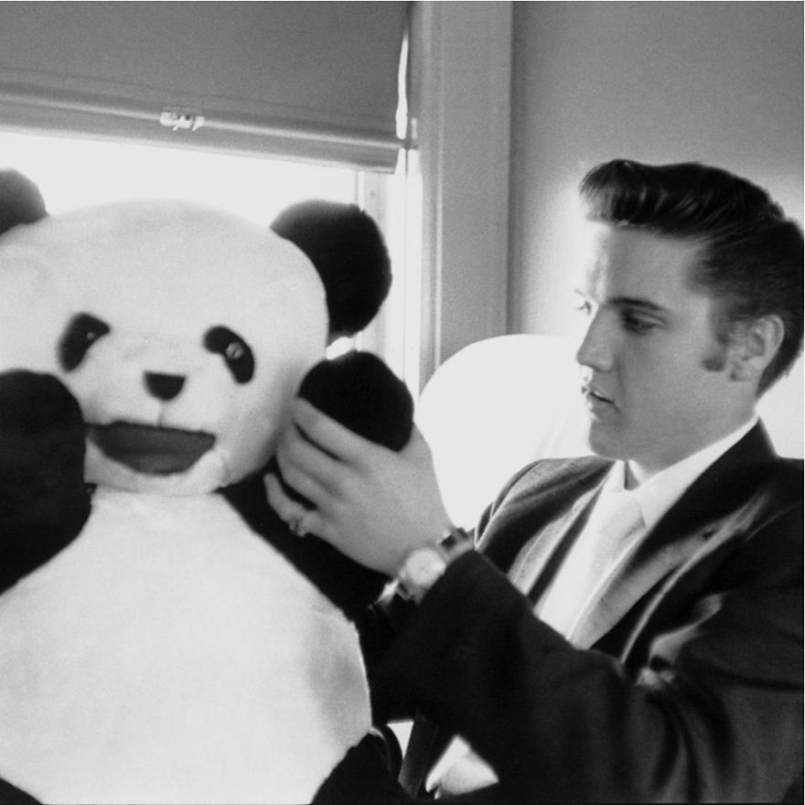 Elvis Presley And The Animals. A Very Sweet Tribute To The 40 Years Of His Death.