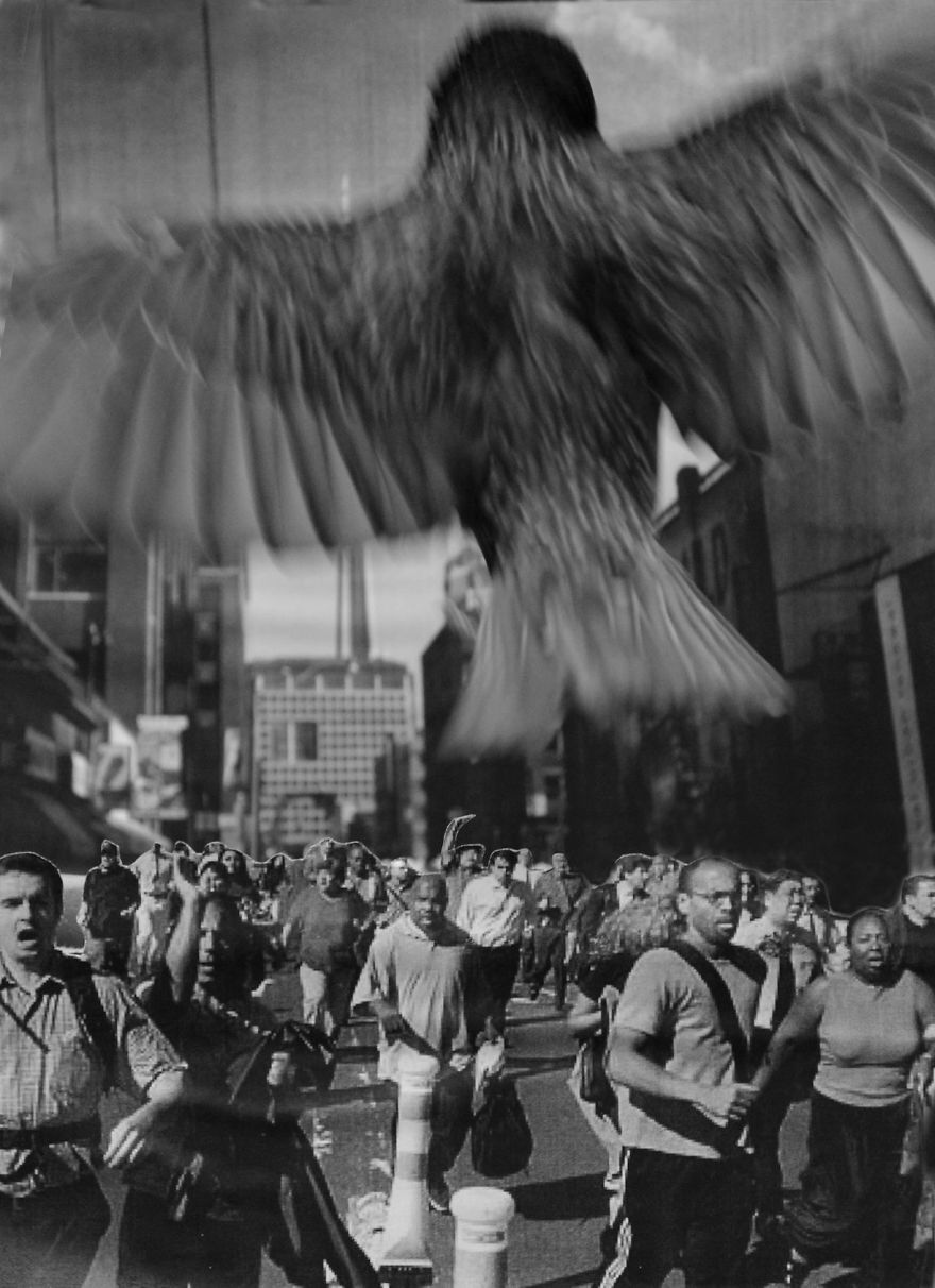 Artist Changes The Backdrop Of Her Birdhouse To Transform The Narrative Of How We View Art.