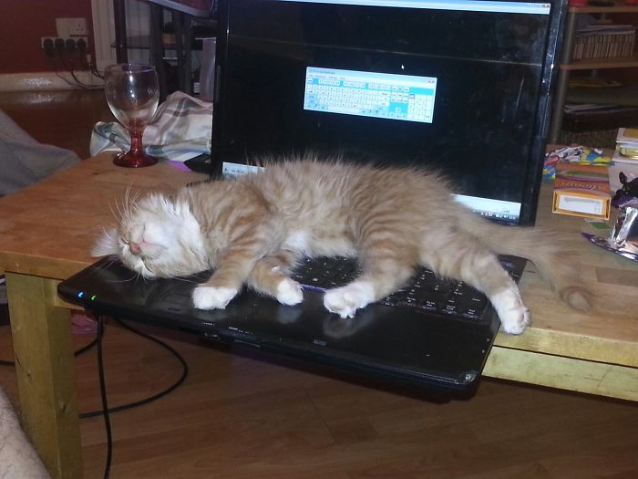 Nothing Like A Nice Warm Keyboard