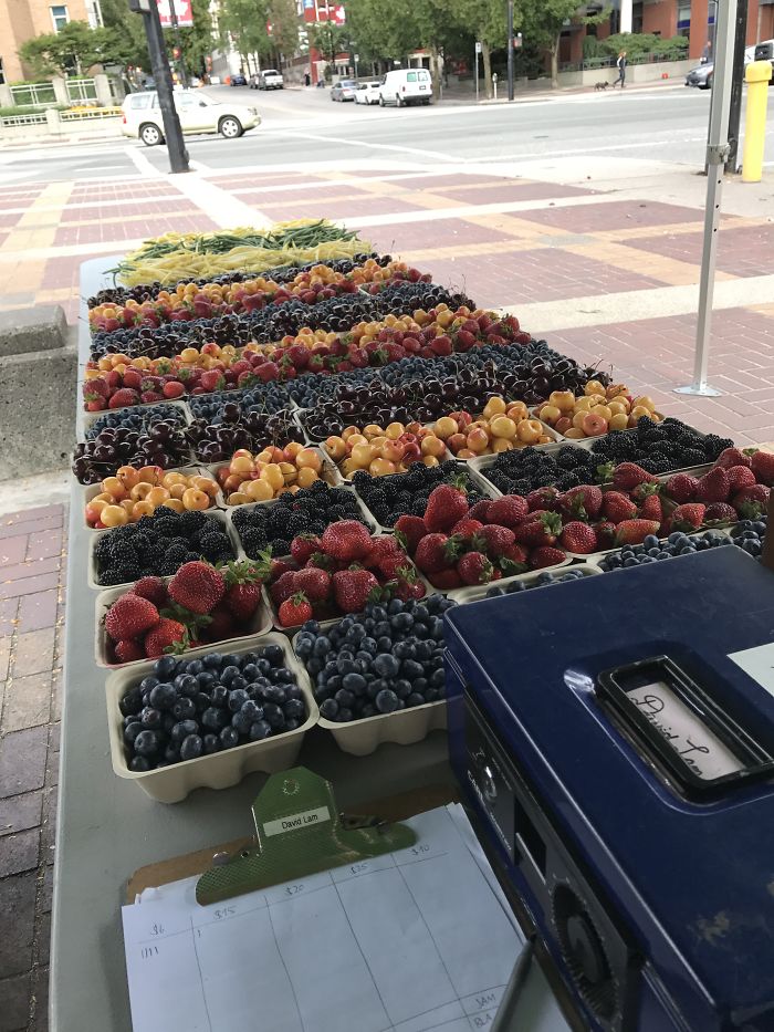 I Made The Fruit Pretty