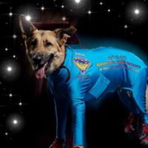 belinda_williams avatar