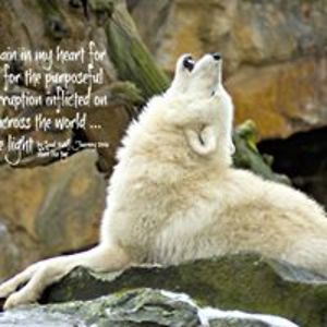 sandyfrost987 avatar