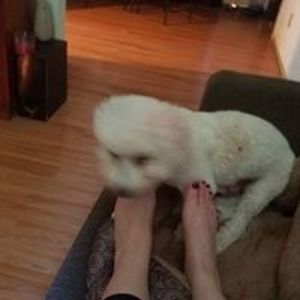 archangelwriter avatar