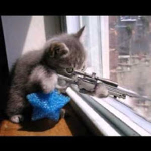 656c6974656861636b6572 avatar