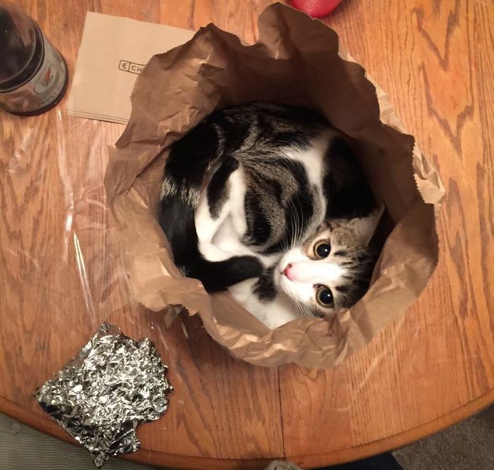 If I Get Fit Inside I Sit Inside