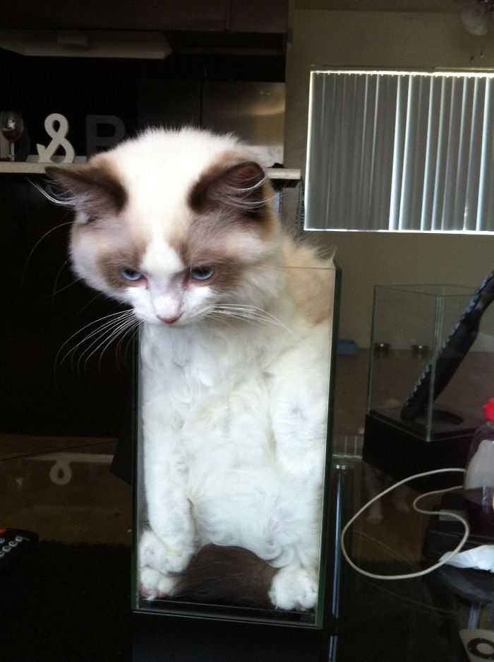 What I Found When I Got Home One Day