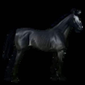 blackbunny38theawesome avatar