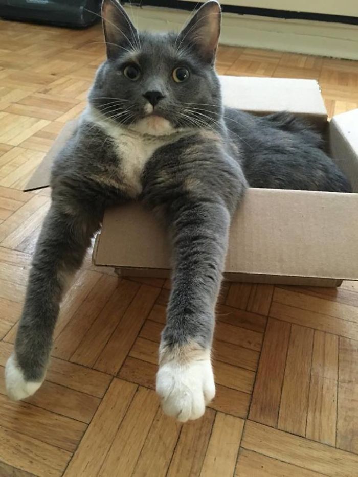 I Fits