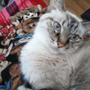 myprecious1963 avatar