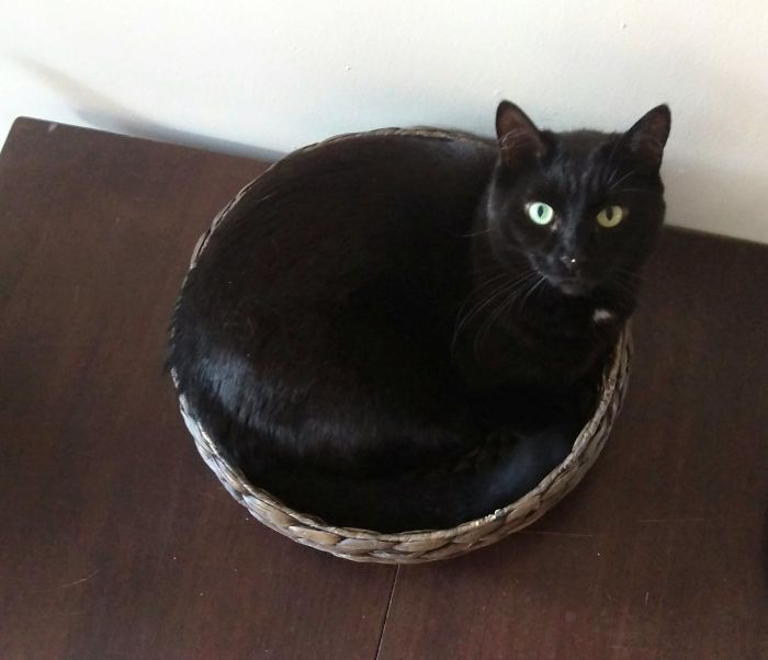 Clearly Not A Banana