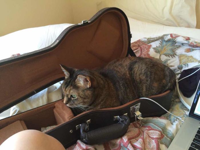 Channeling Her Inner Ukulele