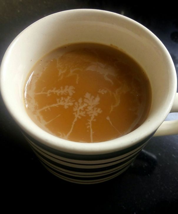 The Cream On Top Of My Tea Looks Like Trees