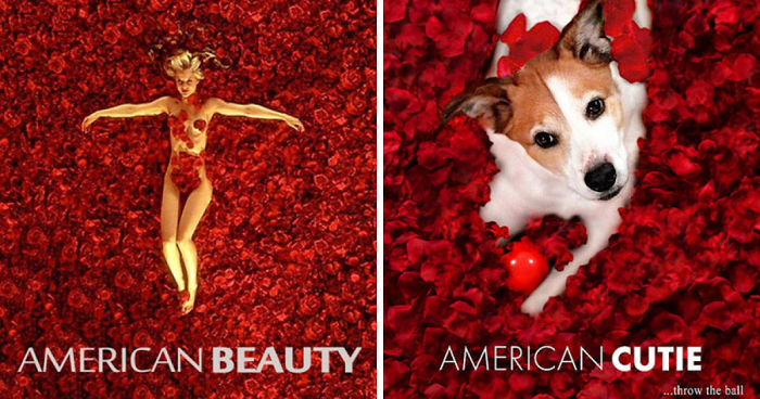 I Photoshop My Dog Into Movie Posters