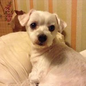 michele_kobus avatar