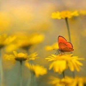 paperdoll0202 avatar