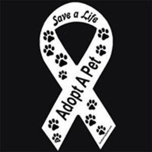 dark_lotus_can avatar