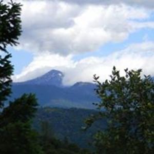 passionflower48 avatar