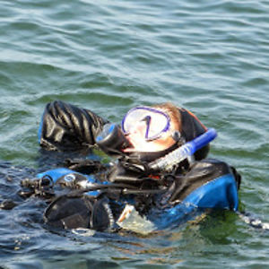 jennyvanmazijk avatar