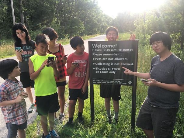 Gotta Collect Em All