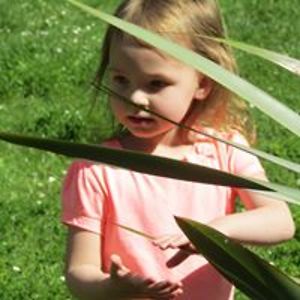 searlemichael1 avatar