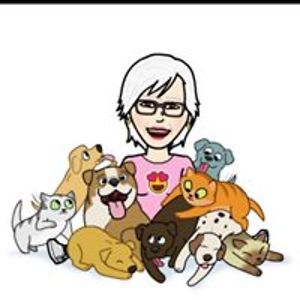 barbararwolfson avatar