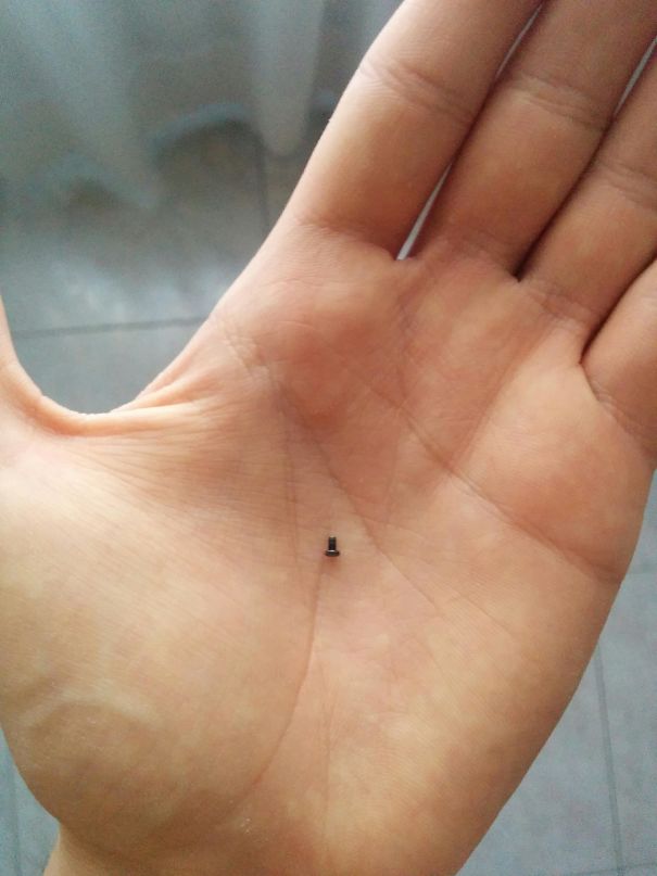 I Lost Small Screw About 2 Years Ago When I Disassembled My Nexus 5 Smartphone. Today Mom Found It While Cleaning The House