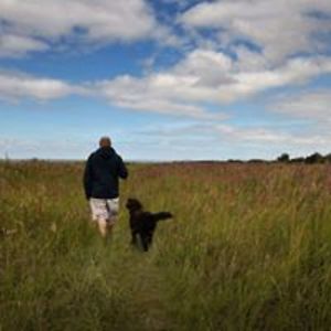 daniel_charitopoulos avatar