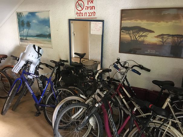 No Translation Needed